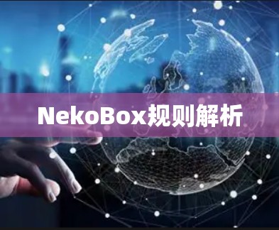 NekoBox规则解析 NekoBox规则解析
