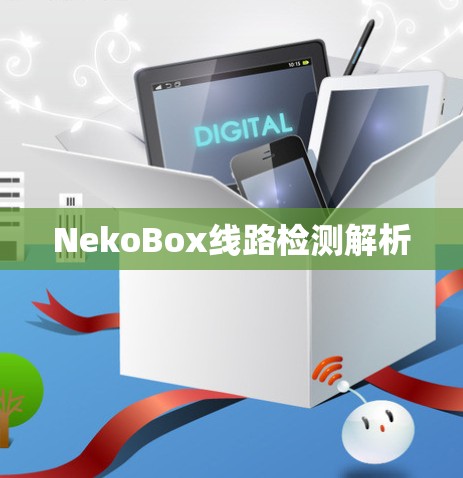 NekoBox线路检测解析 NekoBox线路检测解析