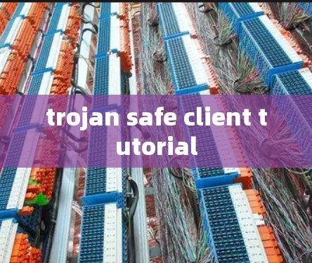 trojan safe client tutorial trojan safe client tutorial