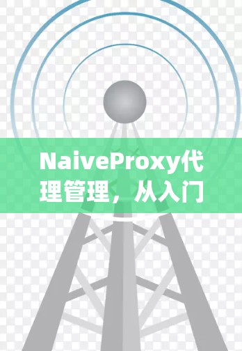 NaiveProxy代理管理,从入门到优化 NaiveProxy代理管理,从入门到优化