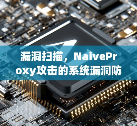 漏洞扫描,NaiveProxy攻击的系统漏洞防御 漏洞扫描,NaiveProxy攻击的系统漏洞防御