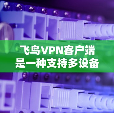飞鸟VPN客户端是一种支持多设备使用的VPN应用,旨在提供安全、便捷的VPN服务。以下是关于飞鸟VPN客户端的一些关键信息 飞鸟VPN客户端是一种支持多设备使用的VPN应用,旨在提供安全、便捷的VPN服务。以下是关于飞鸟VPN客户端的一些关键信息
