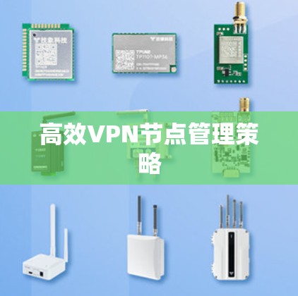 高效VPN节点管理策略 高效VPN节点管理策略