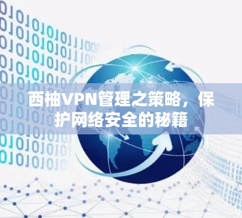 西柚VPN管理之策略,保护网络安全的秘籍 西柚VPN管理之策略,保护网络安全的秘籍