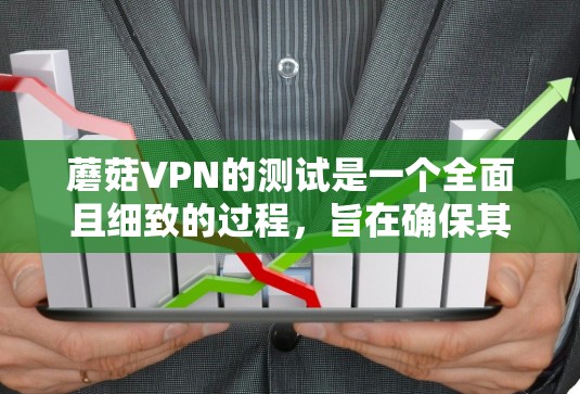 蘑菇VPN的测试是一个全面且细致的过程，旨在确保其网络的安全性和稳定性。以下是蘑菇VPN测试的主要步骤，帮助您全面评估其安全性和稳定性