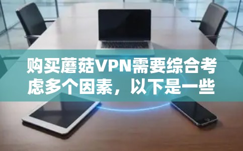 购买蘑菇VPN需要综合考虑多个因素,以下是一些关键点,帮助你做出明智的决定 购买蘑菇VPN需要综合考虑多个因素,以下是一些关键点,帮助你做出明智的决定