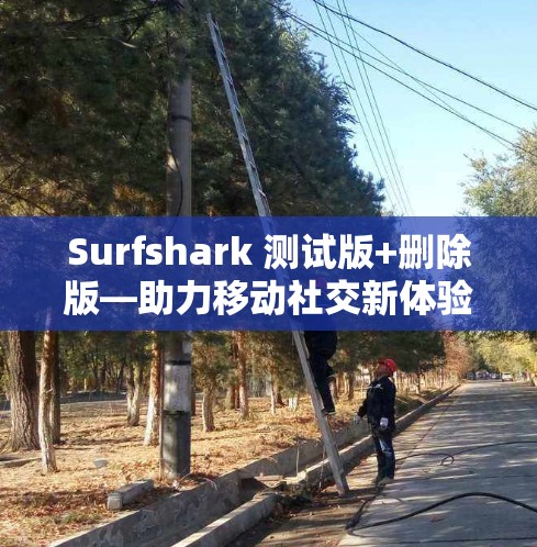 Surfshark 测试版+删除版—助力移动社交新体验 Surfshark 测试版+删除版—助力移动社交新体验