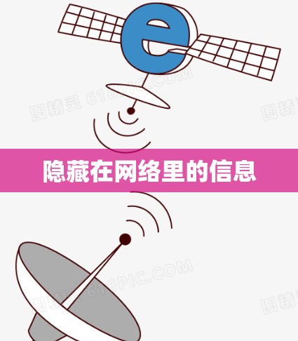 隐藏在网络里的信息 隐藏在网络里的信息