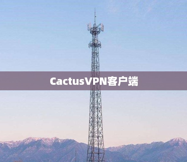 CactusVPN客户端 CactusVPN客户端