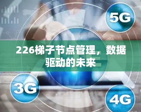 226梯子节点管理,数据驱动的未来 226梯子节点管理,数据驱动的未来