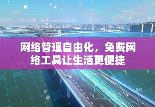 网络管理自由化，免费网络工具让生活更便捷