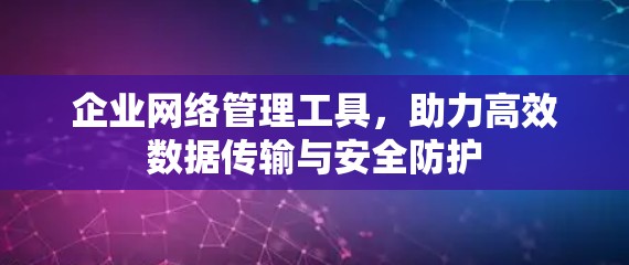 企业网络管理工具,助力高效数据传输与安全防护 企业网络管理工具,助力高效数据传输与安全防护