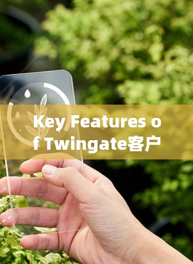 Key Features of Twingate客户端: Key Features of Twingate客户端: