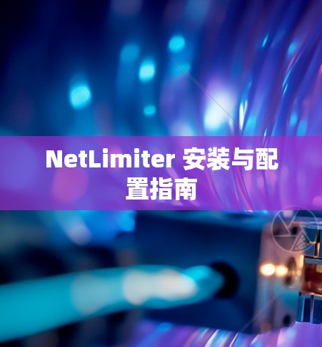 NetLimiter 安装与配置指南 NetLimiter 安装与配置指南