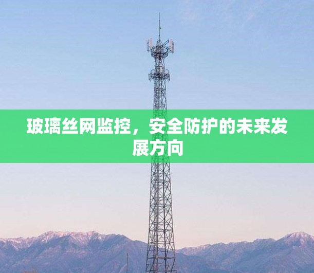 玻璃丝网监控,安全防护的未来发展方向 玻璃丝网监控,安全防护的未来发展方向