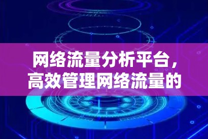 网络流量分析平台,高效管理网络流量的全新解决方案 网络流量分析平台,高效管理网络流量的全新解决方案